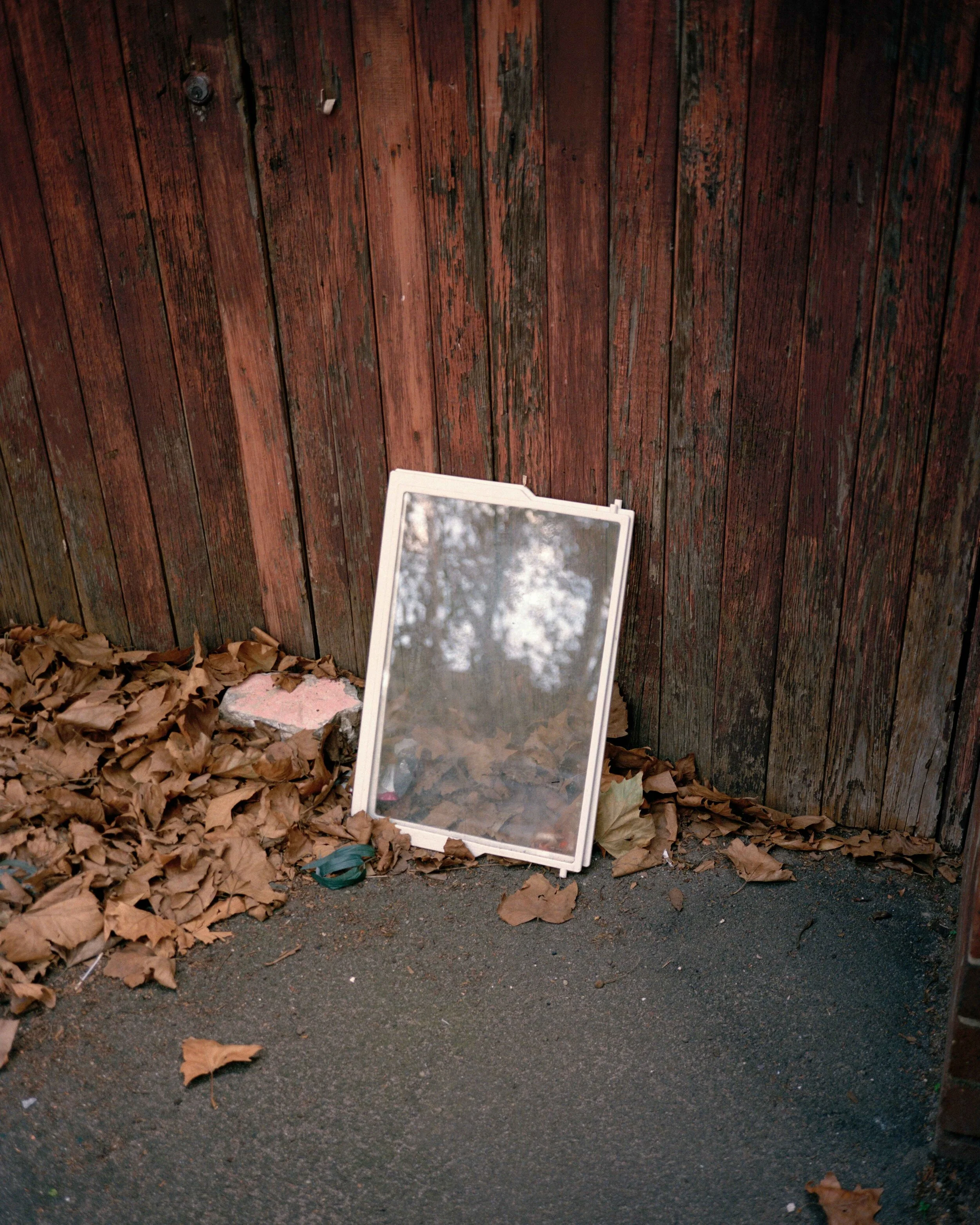 Installation view of A Young Black Kangaroo, 2020