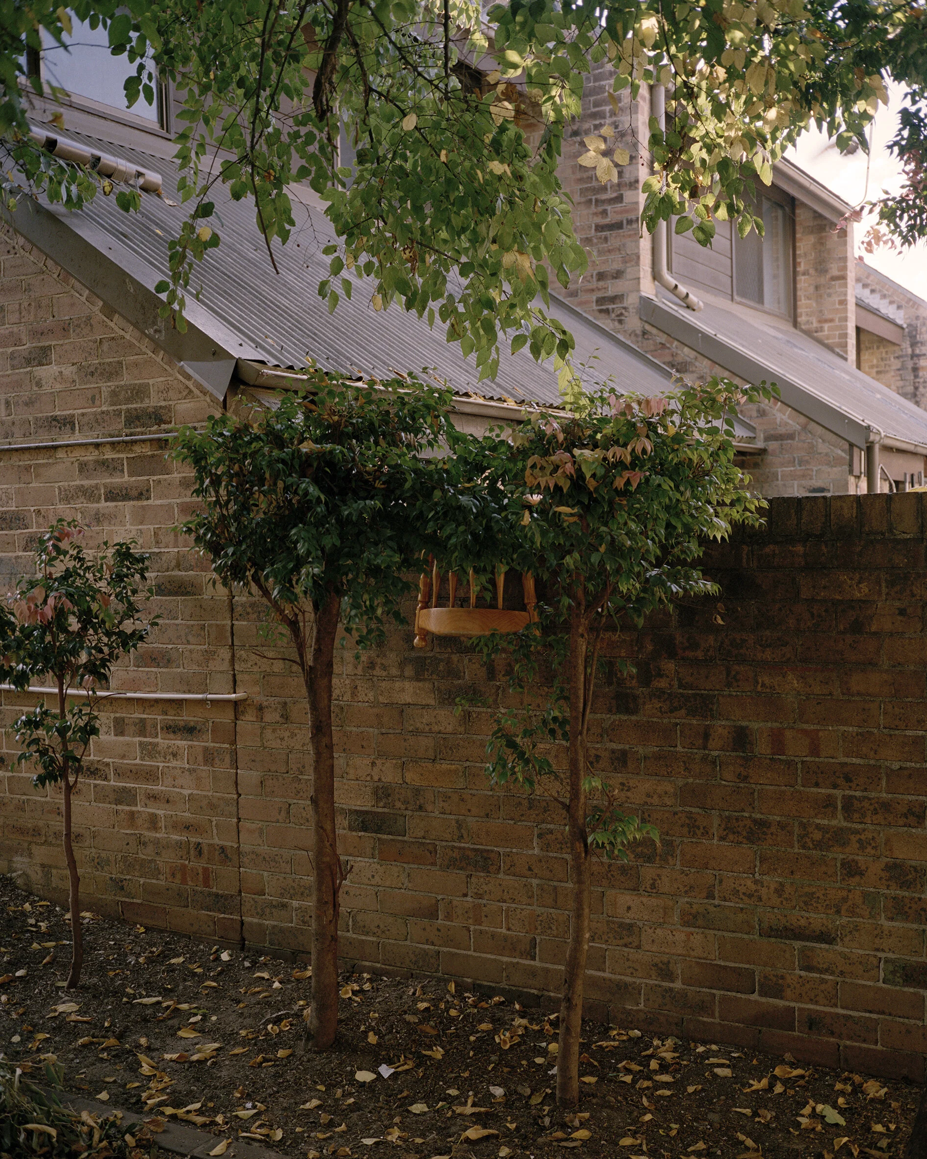 Installation view of A Young Black Kangaroo, 2020