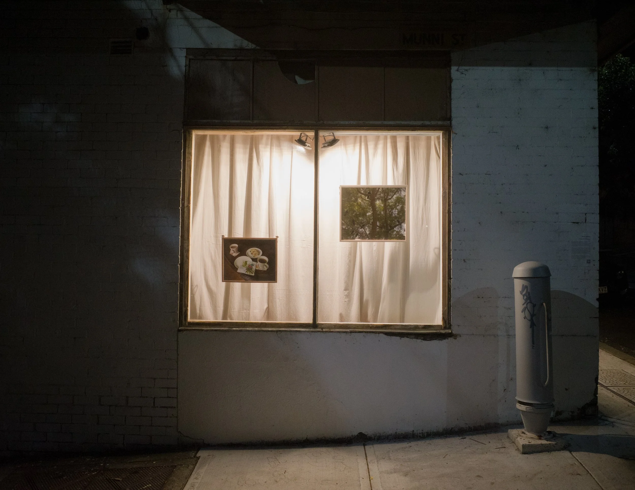 Installation view of A Young Black Kangaroo, 2020