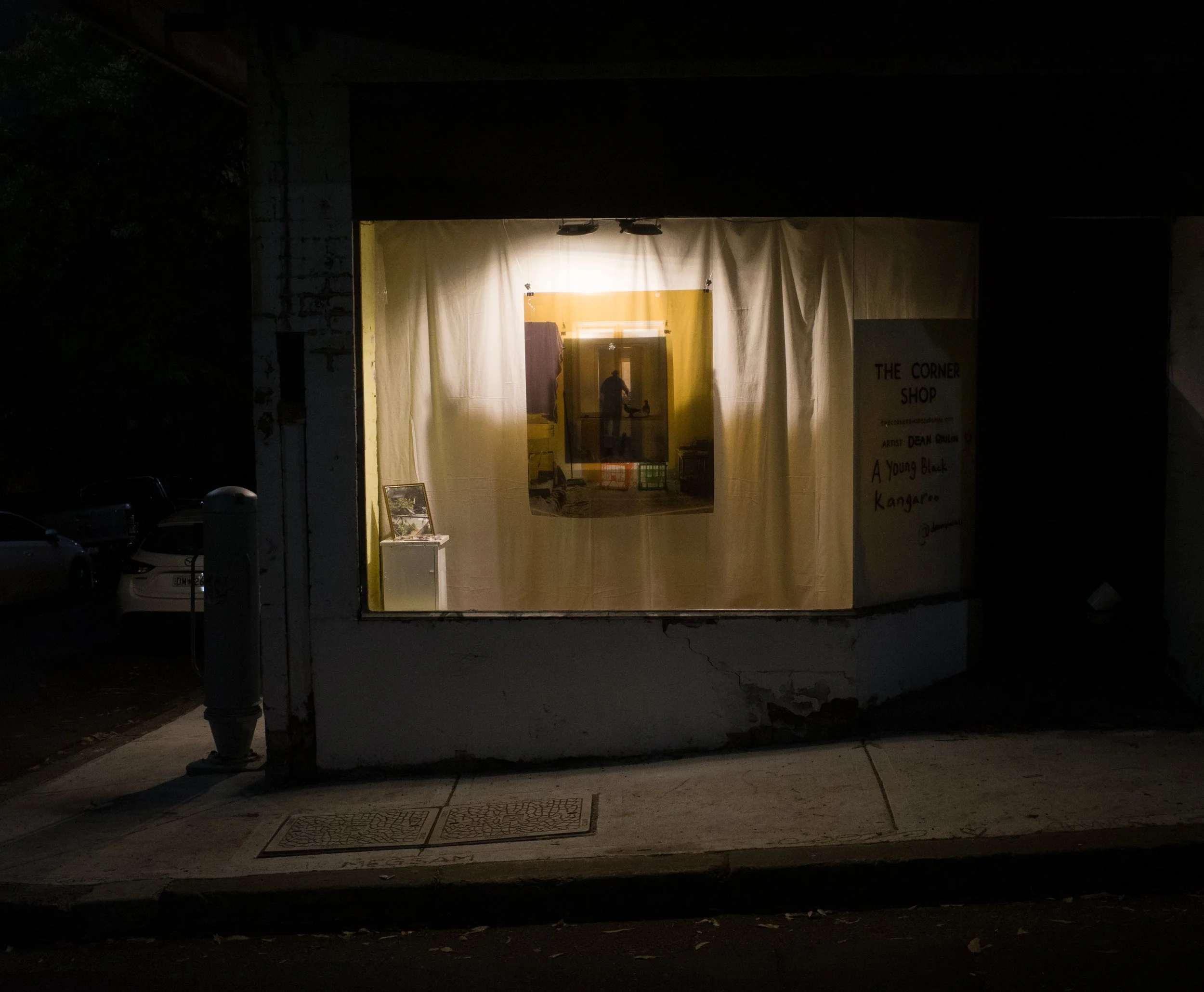 Installation view of A Young Black Kangaroo, 2020