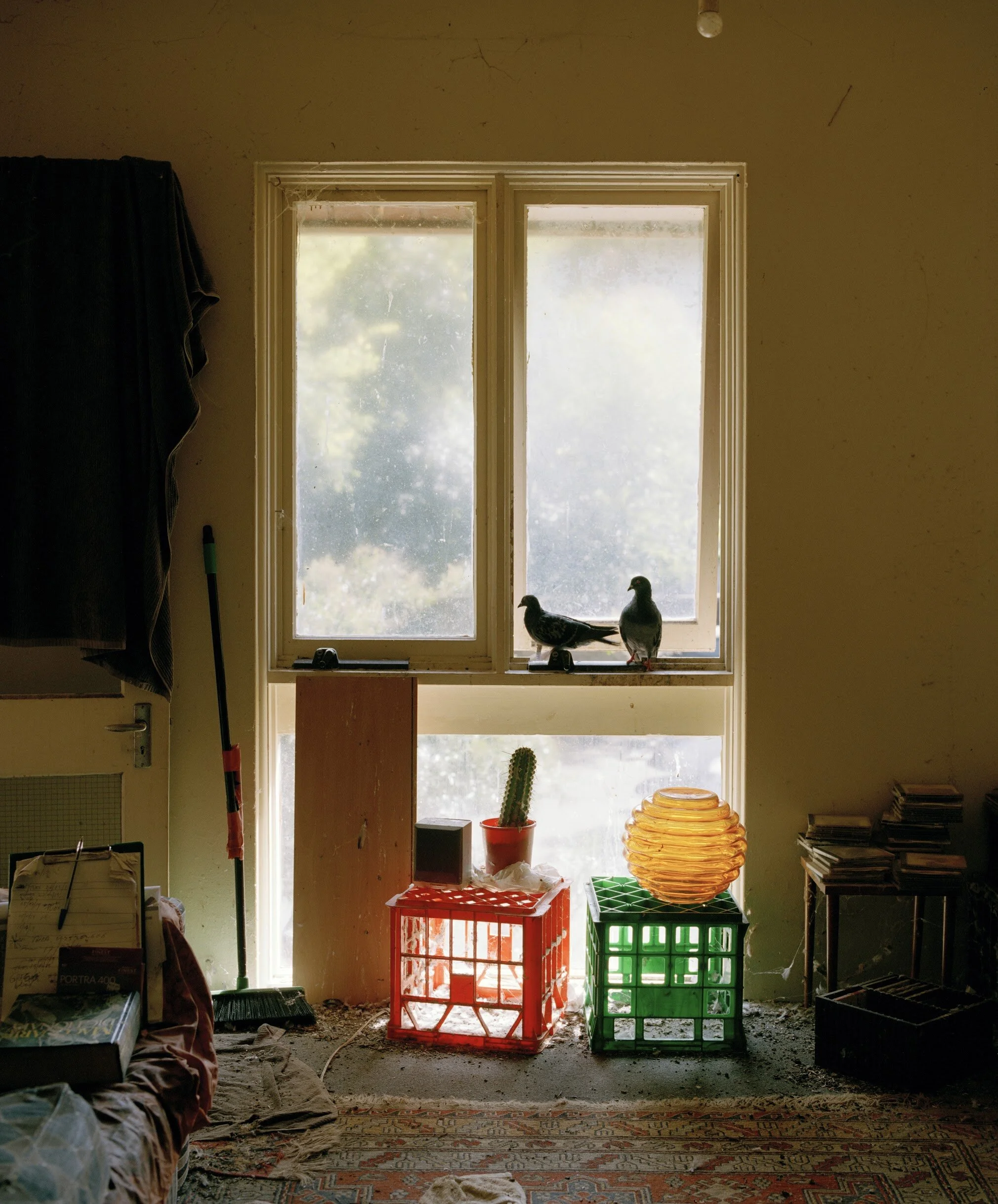 Installation view of A Young Black Kangaroo, 2020